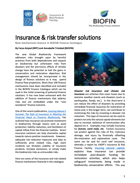 Insurance & risk transfer solutions